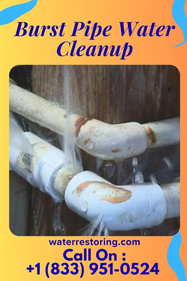 Burst Pipe Water Cleanup in Dorchester, WI