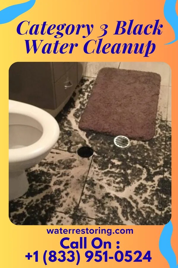 Category 3 Black Water Cleanup in Dorchester, WI