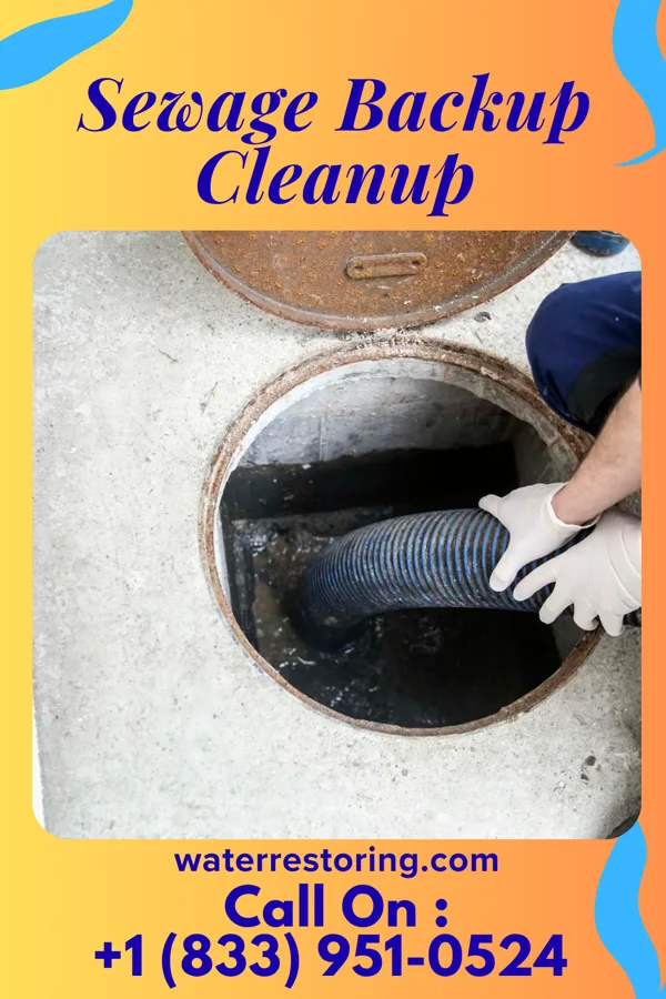 Sewage Backup Cleanup in Dorchester, WI